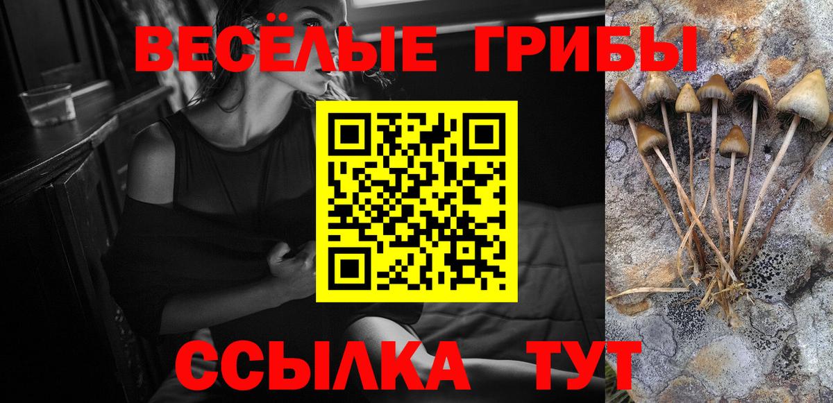 Псилоцибиновые грибы Psilocybine cubensis Ревда