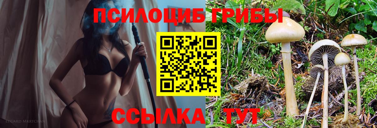 Ревда  Галлюциногенные грибы мицелий  Вход с VPN 